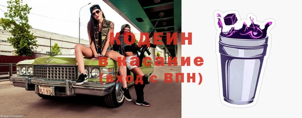 бошки Инта