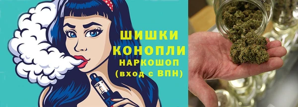 а пвп мука Инсар