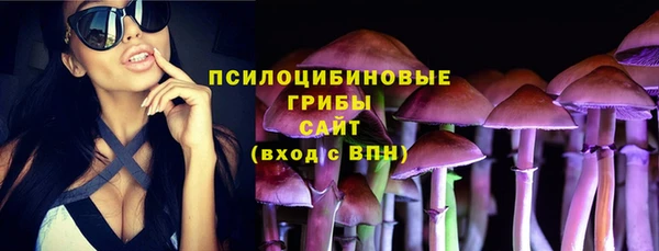 мдпв Иннополис