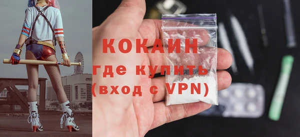 бошки Инта