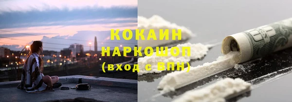 бошки Инта