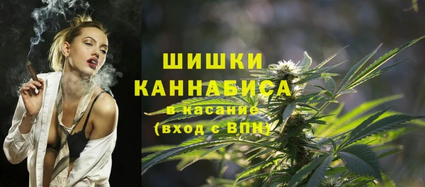 бошки Инта
