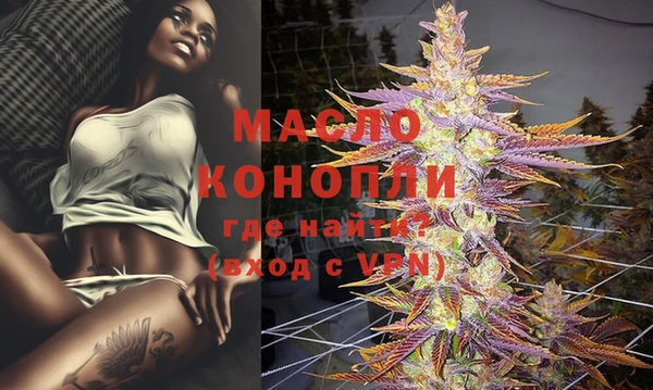 бошки Инта
