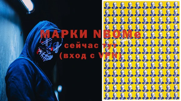 бошки Инта