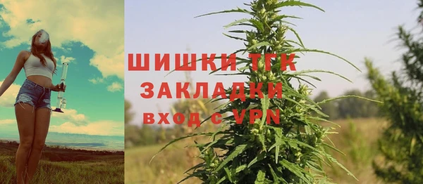 бошки Инта